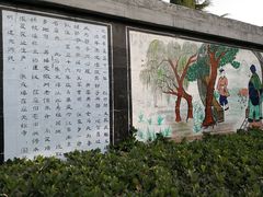 -东方巨龟苑景区