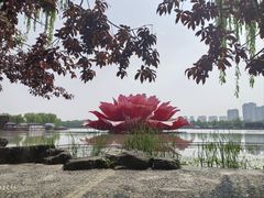 -洛阳市隋唐城遗址植物园