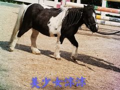 -杭州少年儿童公园