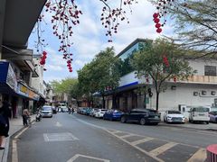 -黄连大头华烧鹅(萧地大马路店)