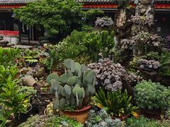 -山菌美食苑(振兴路店)