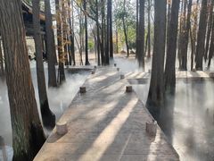 -东湖落雁景区
