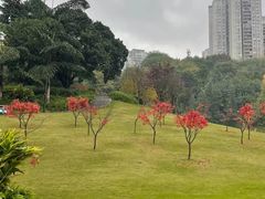 -龙头寺公园