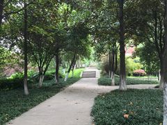 -沙市市中山公园