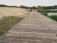 -东郊湿地公园