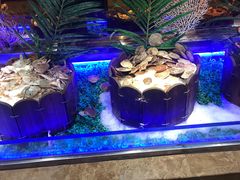 -比尔森啤酒自助烤肉(红旗街店)