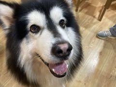 -白兔子密室(长寿路店)