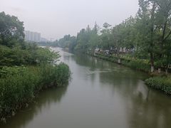 -洋湖国家湿地公园