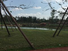 -白鹭湾湿地公园