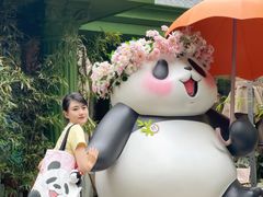 -轩客会(熊猫书店)