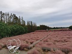 -嘉北郊野公园