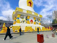 -护国法轮寺