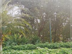 -观澜湖高尔夫球会