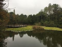 -天目湖山水园