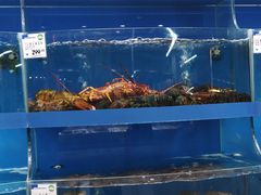 -果蔬好生活超市(乐堤港店)