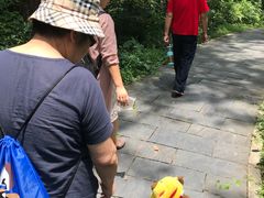 -青龙山国家森林公园