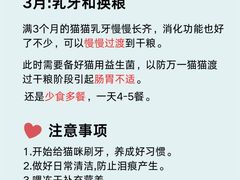 -艾贝尔宠物医院·24H转诊中心·肿瘤猫专科(江宁双龙店)