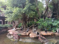 -长鹿旅游休博园