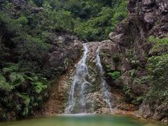 -南海湾森林生态园