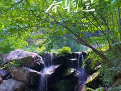-四明山国家森林公园