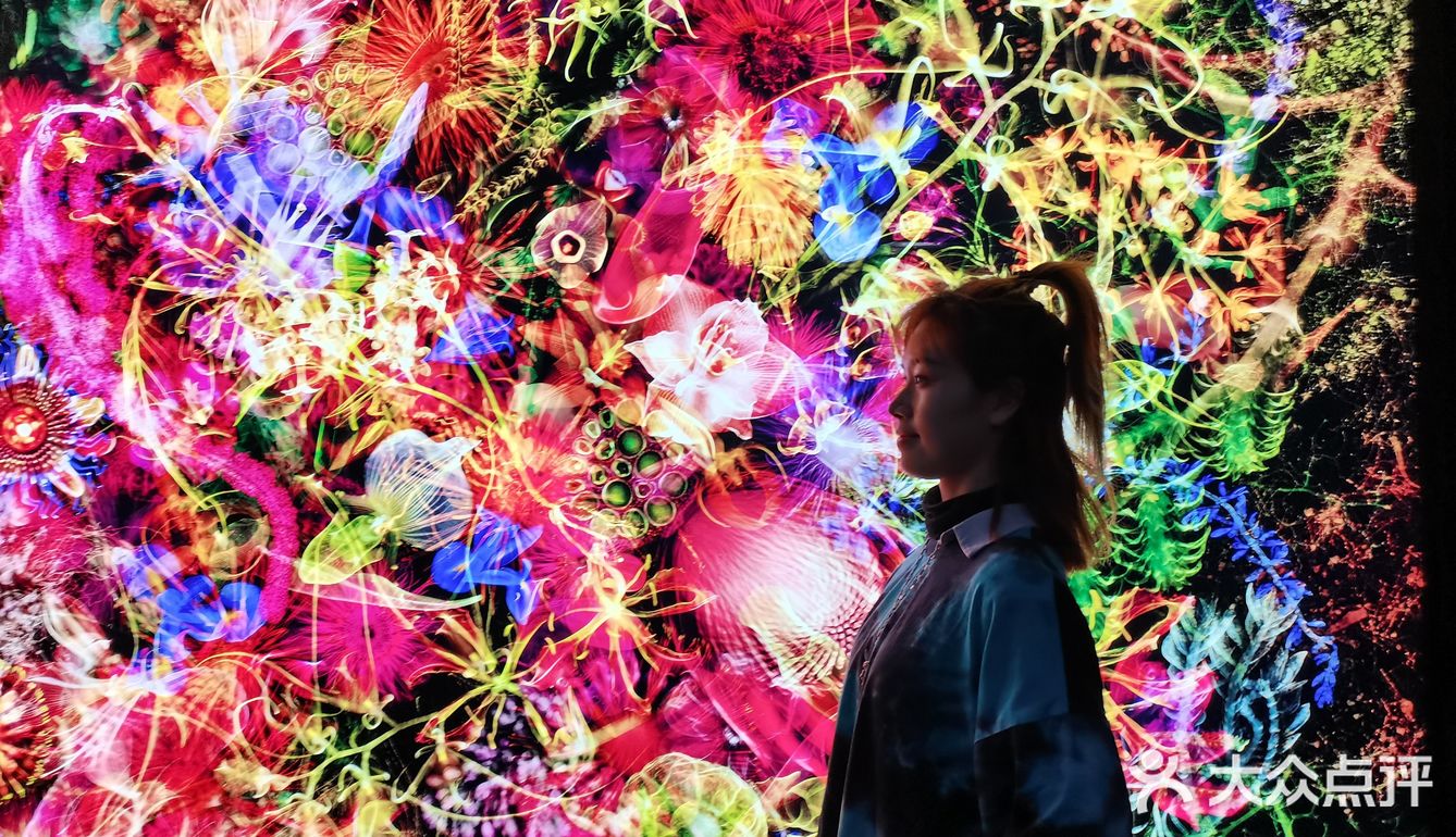 魔都展览｜B.A绽放生命之美沉浸式艺术展