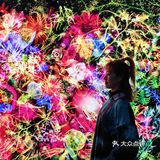 魔都展览｜B.A绽放生命之美沉浸式艺术展