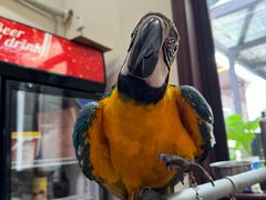 -观桥阁(锦溪店)