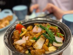 姜葱焗牛蛙煲-龙记香港茶餐厅(久光百货店)