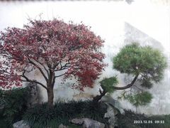 -艺圃