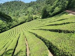 -敬亭山风景名胜区