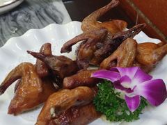 -鸽鸟轩(石岐店)