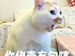 -上海浦东假日酒店