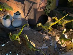 -恐龙探索乐园(磁器口店)