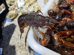 -渔人湾码头海鲜市场负二楼