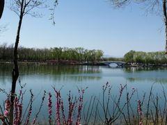 -大兴滨河森林公园