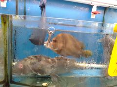 -渔中舟海鲜大排档(普陀沈家门店)