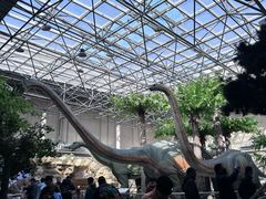 -国家自然博物馆