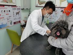 -美联众合动物医院(唯恩分院)