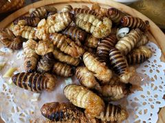 -前堡羊汤岫岩一部(凯隆店)