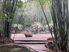 -蜀南竹海景区