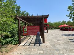 -御林古桑园
