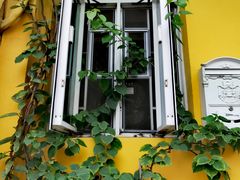 -龙环葡韵住宅式博物馆