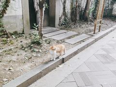 -润和祥小砵头甜酒酿