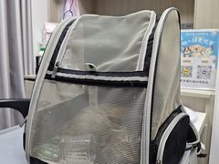 -宠物星动物医院·眼科·异宠·猫科(江南大道总院)