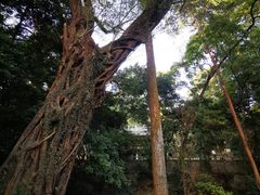 -南华禅寺