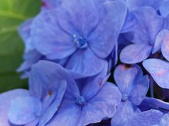 -Wagas沃歌斯(大学路店)