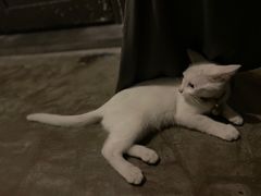 -郑厨私房菜