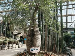 -南山植物园