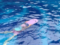 -中旅阿那亚九龙湖·公主酒店