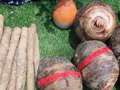 -老阿爸江浙土菜(奥体中心店)